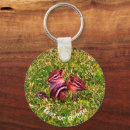 Search for chipmunk key rings Cute