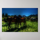 Search for charger posters Horse