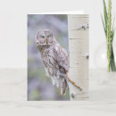 Search for aspen trees cards Grand teton national park