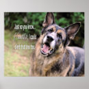 Search for german shepherd photo posters Gsd