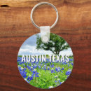 Search for texas bluebonnet Wildflowers