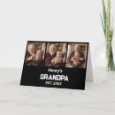Search for 3 photo cards Modern typography