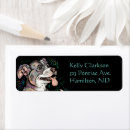 Search for adopt a pet return address labels Adoption