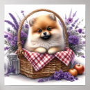 Search for picnic posters Floral