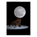 Search for walrus christmas cards Funny