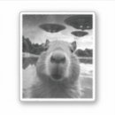 Search for graphic tshirt stickers Funny