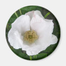 Search for request magnets Maid of honour