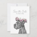 Search for dog save the dates Modern