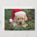 Search for cute puppy christmas cards Dogs