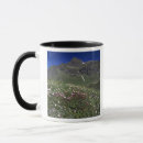 Search for alp mugs Colour