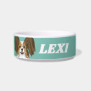 Search for spaniel home living Papillon