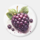 Search for blackberry magnets Fresh