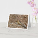 Search for kestrels cards Bird