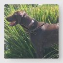 Search for sportsman art Hunting