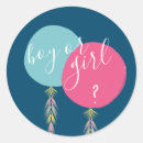 Search for gender reveal boy or girl stickers He or she