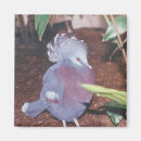 Search for wild birds magnets Avian