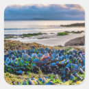 Search for playa stickers Beach