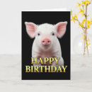 Search for piglet cards Animal