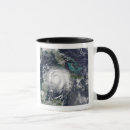 Search for lili mugs Coast
