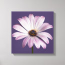Search for white daisy canvas prints Nature
