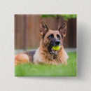Search for german shepherd gifts Puppy
