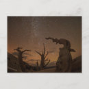 Search for wolf postcards California