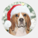 Search for beagle christmas stickers Xmas