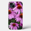 Search for coneflower iphone cases Garden