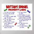 Search for brittany spaniel posters Cute
