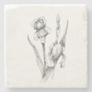Search for iris coasters Summer