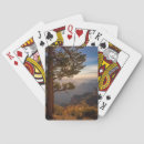 Search for landing deck Scenics
