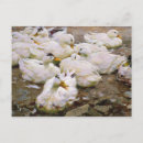 Search for mensing postcards Gallery