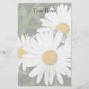 Search for shasta photography Daisy