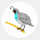 Search for quails stickers Bobwhite