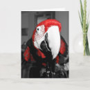 Search for parrot birthday cards Pets