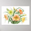 Search for hemerocallis posters Daylily