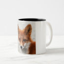 Search for wild fox mugs Wildlife