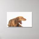 Search for yawning canvas prints Horizontal