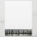 Search for bird letterhead Birds