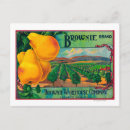 Search for the brownies postcards Crate