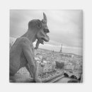 Search for gargoyle magnets Notre dame