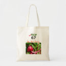 Search for veg accessories Groceries