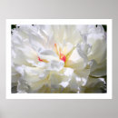 Search for flame photography Orange