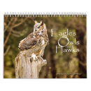 Search for raptor calendars Owl