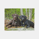 Search for chocolate lab blankets Pets