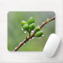 Search for spring bud mousepads Green