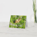 Search for marmot cards Cute