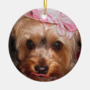 Search for yorkshire christmas tree decorations Funny