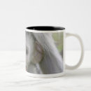 Search for baboons mugs Animals in the wild