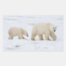 Search for churchill stickers Baby